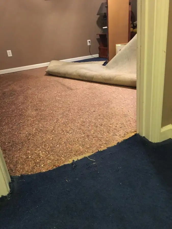 Carpet pad removal revealing water damage during Water Mitigation Services in Russellville
